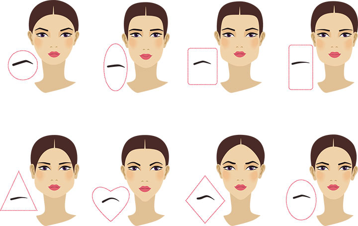 Eyebrow shapes is a key feature to eyebrow maintenance