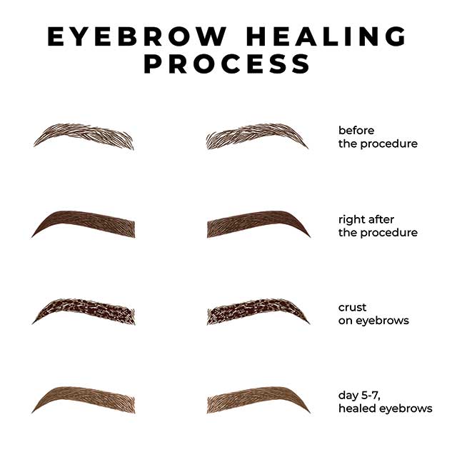 Eyebrows healing process after microblading. Healing stages eyebrows